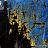 Blues dream,Fine Art Photography,Art Gallery,Digigraphie,Lille,Jazz