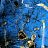 Bear sleepwalker,Fine Art Photography,Art Gallery,Digigraphie,Lille