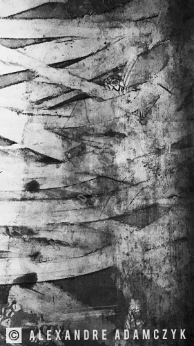  - © Alexandre Adamczyk