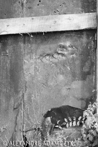 Le hurleur,Fine Art Photography,Art Gallery,Digigraphie,Lille - © Alexandre Adamczyk