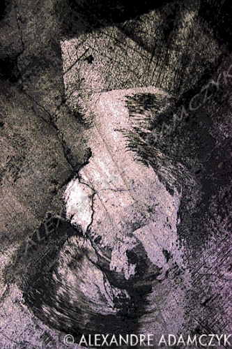 Leonarda,Fine Art Photography,Art Gallery,Digigraphie,Lille - © Alexandre Adamczyk