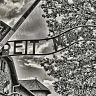 Frei